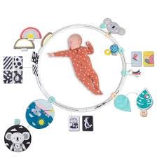 Anello Attivo Taf Toys: Sviluppo e Divertimento per il Tuo Bambino